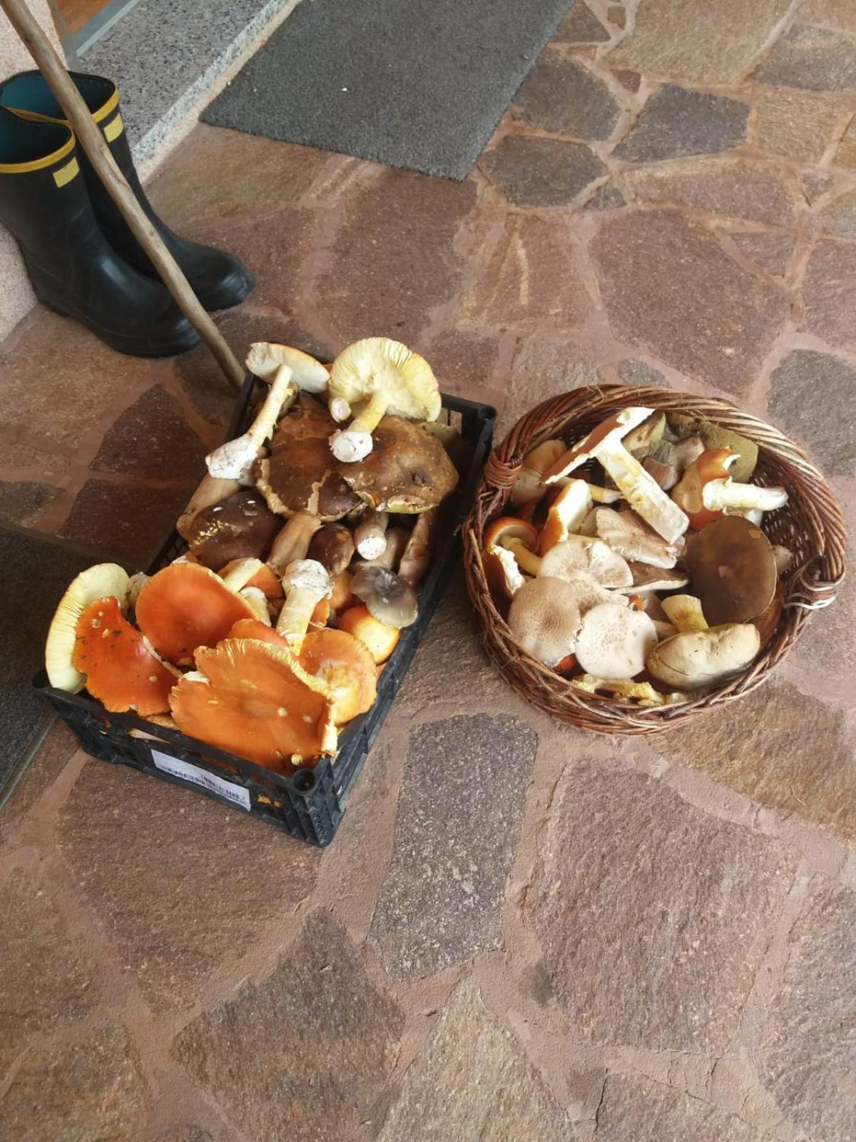 Wellness Villa Istriana Murine Kültér fotó